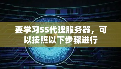 要学习SS代理服务器，可以按照以下步骤进行