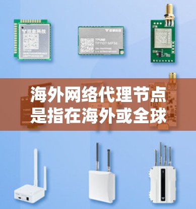海外网络代理节点是指在海外或全球范围内的网络设备，负责从其他国家或地区的网络流量中获取数据并将其发送到本地服务器或网站。这些节点在国际网络环境中起着关键作用，尤其是在需要跨国家数据传输或访问时
