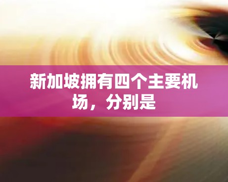 新加坡拥有四个主要机场，分别是