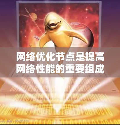 网络优化节点是提高网络性能的重要组成部分，包括以下几个主要类别