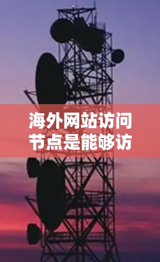 海外网站访问节点是能够访问目标网站的关键基础设施，主要包括本地服务器和远程服务器。这些节点需要设计合理的访问控制机制，确保访问者能够安全访问到目标网站的资源。以下是对访问节点的详细说明
