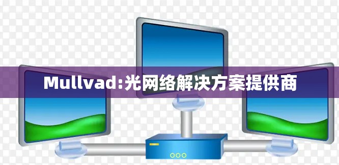Mullvad:光网络解决方案提供商