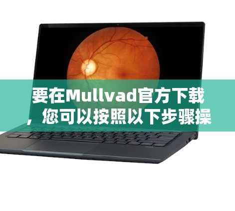 要在Mullvad官方下载，您可以按照以下步骤操作