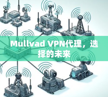 Mullvad VPN代理，选择的未来