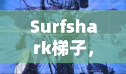 Surfshark梯子，社交社交的社交工具