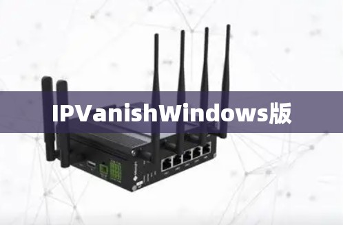 IPVanishWindows版