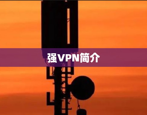 强VPN简介