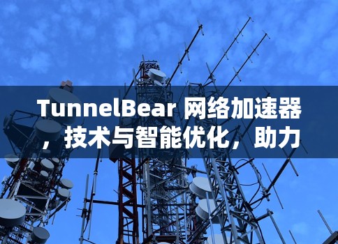 TunnelBear 网络加速器，技术与智能优化，助力高效流量管理