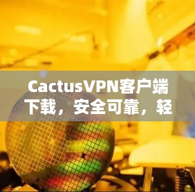 CactusVPN客户端下载，安全可靠，轻松连接