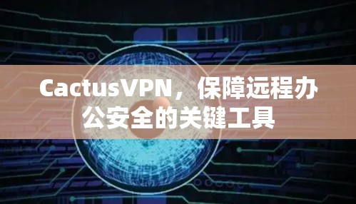 CactusVPN,保障远程办公安全的关键工具 CactusVPN,保障远程办公安全的关键工具