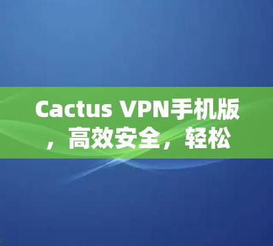 Cactus VPN手机版，高效安全，轻松连接互联网