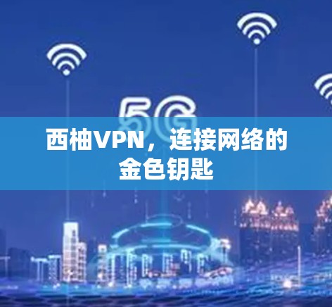 西柚VPN，连接网络的金色钥匙