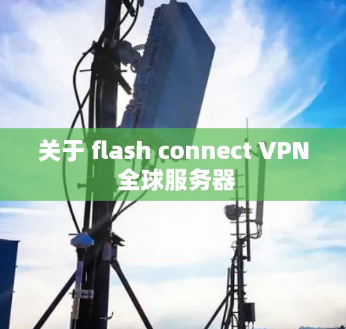 关于 flash connect VPN 全球服务器
