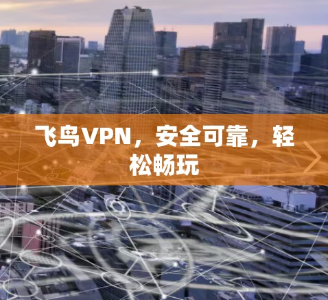 飞鸟VPN，安全可靠，轻松畅玩