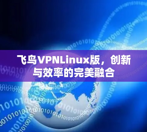 飞鸟VPNLinux版，创新与效率的完美融合