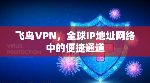 飞鸟VPN，全球IP地址网络中的便捷通道