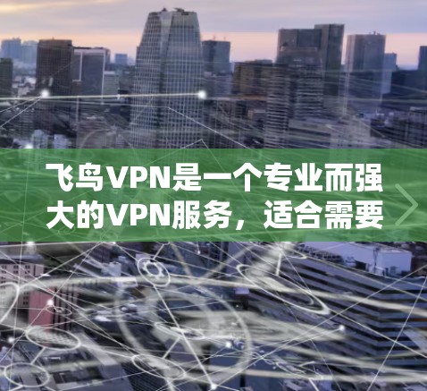 飞鸟VPN是一个专业而强大的VPN服务，适合需要保护个人数据和安全的用户。以下是对飞鸟VPN的详细介绍