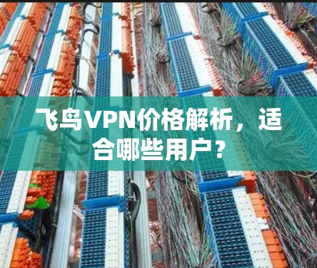 飞鸟VPN价格解析，适合哪些用户？