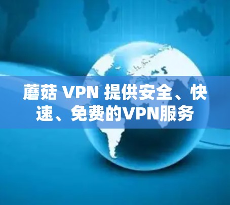 蘑菇 VPN 提供安全、快速、免费的VPN服务