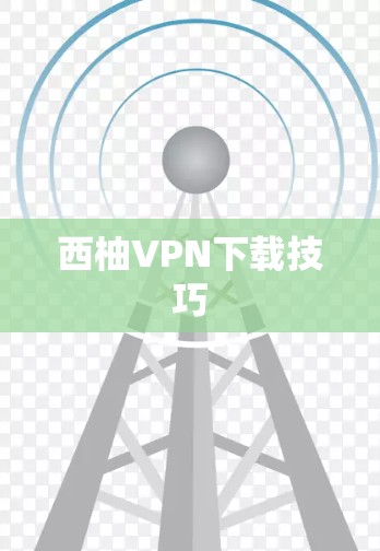 西柚VPN下载技巧
