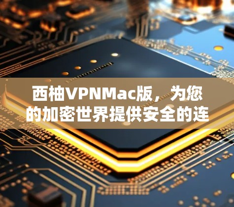 西柚VPNMac版，为您的加密世界提供安全的连接