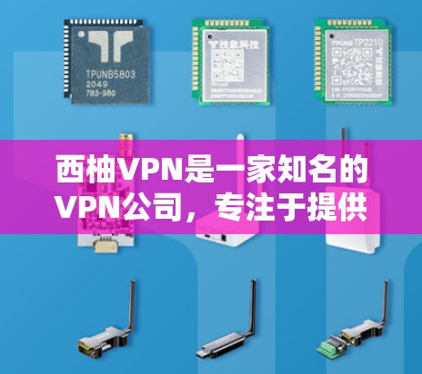 西柚VPN是一家知名的VPN公司，专注于提供安全、可靠和丰富的VPN服务。如果你需要在手机上进行VPN访问，或者在国际地点参加会议，西柚VPN可以满足你的需求。以下是关于西柚VPN的一些推荐信息