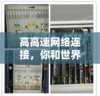 高高速网络连接，你和世界对话—豆荚VPN新策略