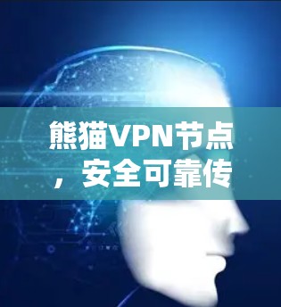 熊猫VPN节点,安全可靠传输技术的创新与应用 熊猫VPN节点,安全可靠传输技术的创新与应用
