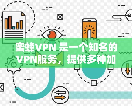 蜜蜂VPN 是一个知名的VPN服务，提供多种加密方式和安全功能。以下是关于蜜蜂VPN的详细信息