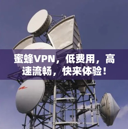 蜜蜂VPN,低费用,高速流畅,快来体验! 蜜蜂VPN,低费用,高速流畅,快来体验!