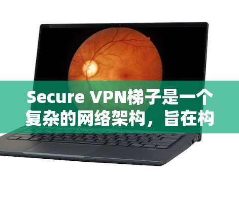 Secure VPN梯子是一个复杂的网络架构，旨在构建一个安全且可靠的VPN连接。以下是该架构的关键组成部分及其作用