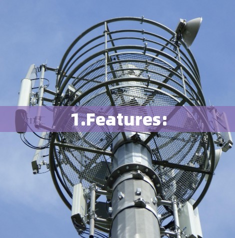 1.Features: 1.Features: