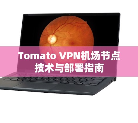 Tomato VPN机场节点技术与部署指南