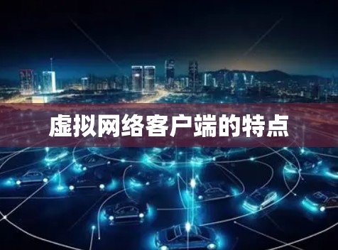 虚拟网络客户端的特点