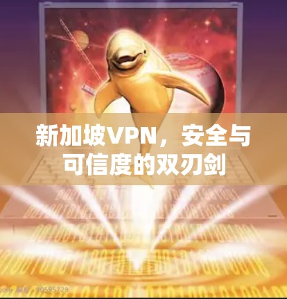 新加坡VPN，安全与可信度的双刃剑