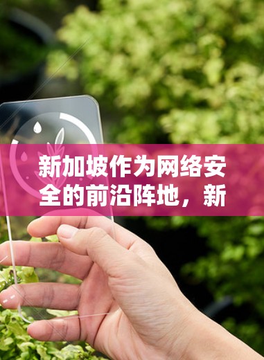 新加坡作为网络安全的前沿阵地，新加坡VPN服务器的崛起与挑战