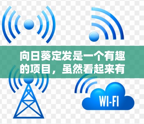 向日葵定发是一个有趣的项目，虽然看起来有点挑战，但只要一步步来，是可以完成的。以下是一个详细的指南，帮助你成功完成向日葵定发