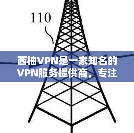 西柚VPN是一家知名的VPN服务提供商，专注于提供安全、可靠和高效的网络连接。以下是对其稳定体验的详细介绍