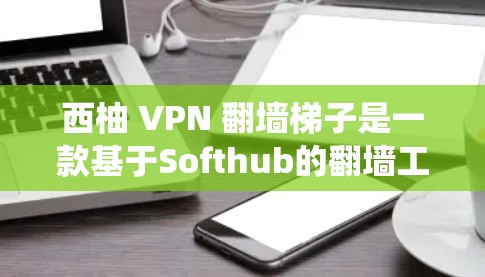 西柚 VPN 翻墙梯子是一款基于Softhub的翻墙工具，旨在帮助用户绕过VPN服务器的翻墙限制，访问到国外的VPN服务器。以下是对该软件的总结和建议