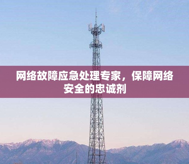 网络故障应急处理专家，保障网络安全的忠诚剂