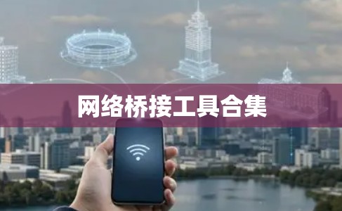 网络桥接工具合集