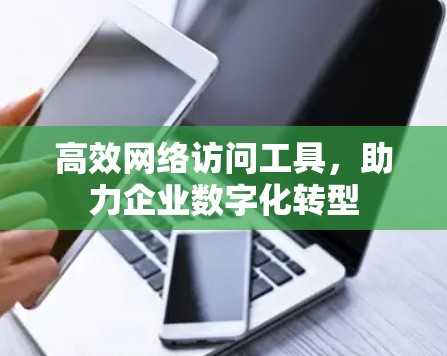 高效网络访问工具，助力企业数字化转型