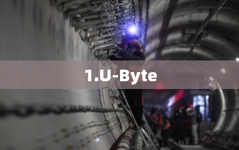 1.U-Byte