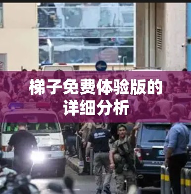 梯子免费体验版的详细分析