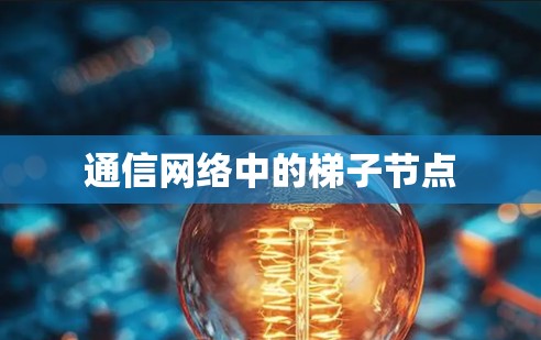 通信网络中的梯子节点 通信网络中的梯子节点