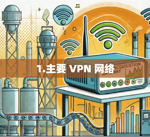 1.主要 VPN 网络