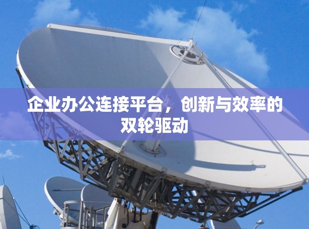 企业办公连接平台，创新与效率的双轮驱动
