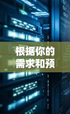 根据你的需求和预算，以下是对奈云VPN产品的最佳选择