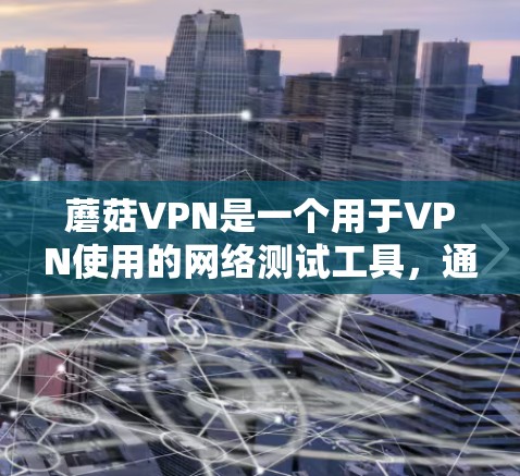 蘑菇VPN是一个用于VPN使用的网络测试工具，通常用于测试网络连接、服务器配置、流量控制等。其测速功能主要是测试网络连接的稳定性，查看连接的IP地址IPsec参数、服务器的负载、连接的带宽等信息