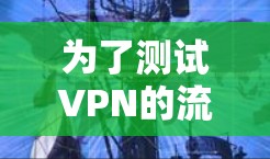 为了测试VPN的流量，可以按照以下步骤进行
